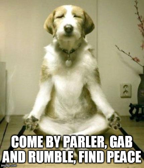 Inner Peace Dog | COME BY PARLER, GAB AND RUMBLE, FIND PEACE | image tagged in inner peace dog | made w/ Imgflip meme maker