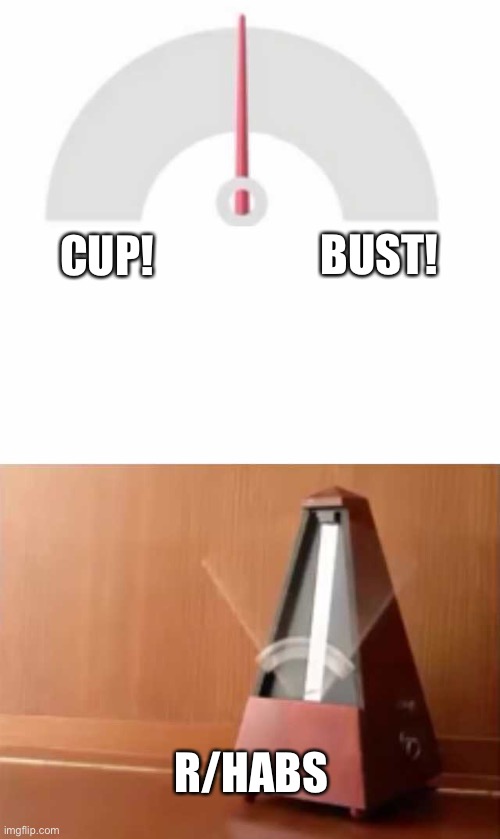 Metronome | BUST! CUP! R/HABS | image tagged in metronome | made w/ Imgflip meme maker