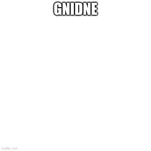 Blank Transparent Square | GNIDNE | image tagged in memes,blank transparent square | made w/ Imgflip meme maker