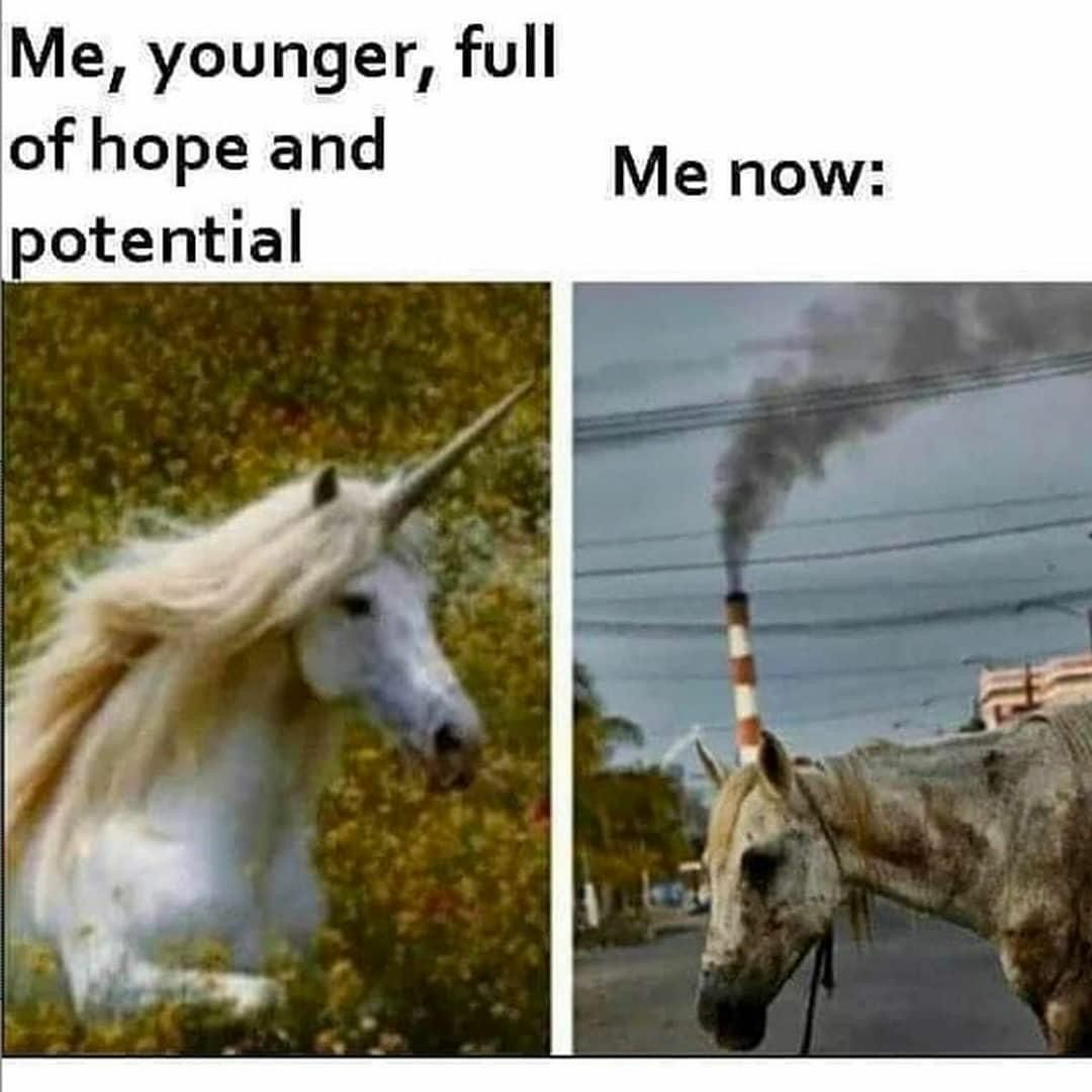 High Quality Unicorn and great value unicorn Blank Meme Template