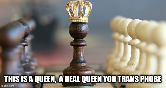 trans queen | THIS IS A QUEEN,  A REAL QUEEN YOU TRANS PHOBE | image tagged in trans queen | made w/ Imgflip meme maker