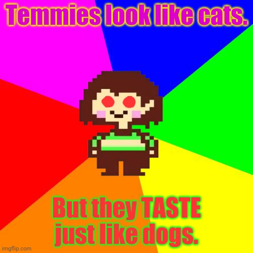 Chara's pro tips | Temmies look like cats. But they TASTE just like dogs. | image tagged in bad advice chara,temmie,dogs an cats,don't listen to chara,free meat | made w/ Imgflip meme maker