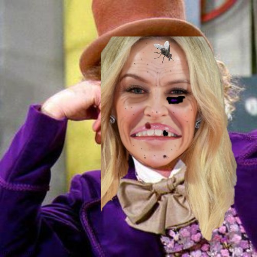 Diseased Kylie Wonka | image tagged in crossover templates | made w/ Imgflip meme maker