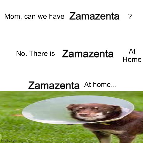 mom can we have zamazenta | Zamazenta; Zamazenta; Zamazenta | image tagged in mom ca we have | made w/ Imgflip meme maker