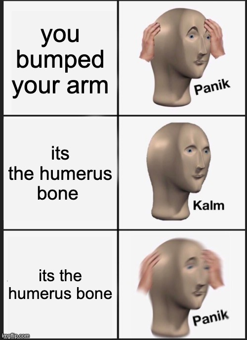 Panik Kalm Panik Meme | you bumped your arm; its the humerus bone; its the humerus bone | image tagged in memes,panik kalm panik | made w/ Imgflip meme maker