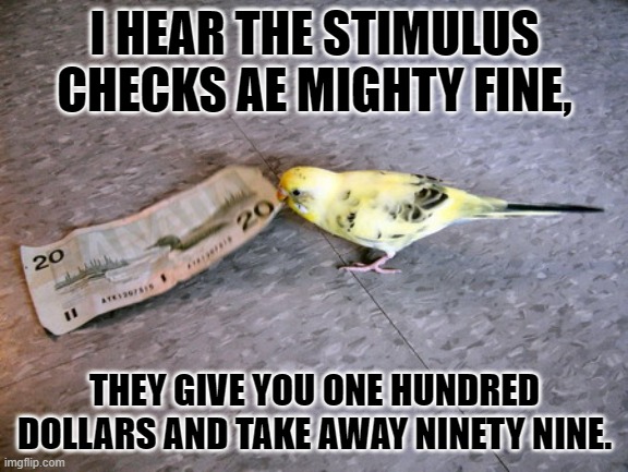 Budgie steals 20 | I HEAR THE STIMULUS CHECKS AE MIGHTY FINE, THEY GIVE YOU ONE HUNDRED DOLLARS AND TAKE AWAY NINETY NINE. | image tagged in budgie steals 20 | made w/ Imgflip meme maker