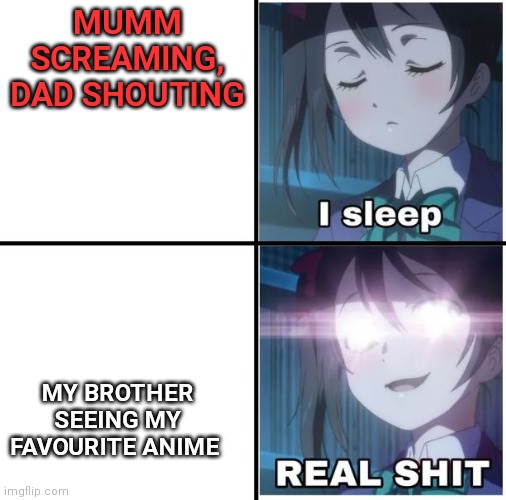 I sleep anime | MUMM SCREAMING, DAD SHOUTING; MY BROTHER SEEING MY FAVOURITE ANIME | image tagged in i sleep anime | made w/ Imgflip meme maker