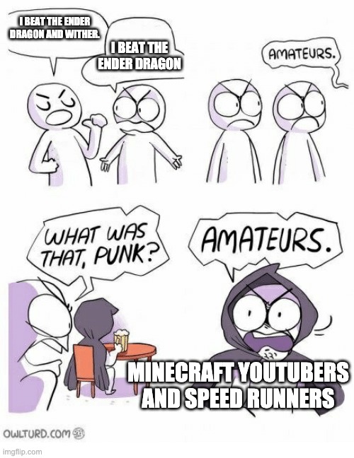 amaturs | I BEAT THE ENDER DRAGON AND WITHER. I BEAT THE ENDER DRAGON; MINECRAFT YOUTUBERS AND SPEED RUNNERS | image tagged in amaturs | made w/ Imgflip meme maker
