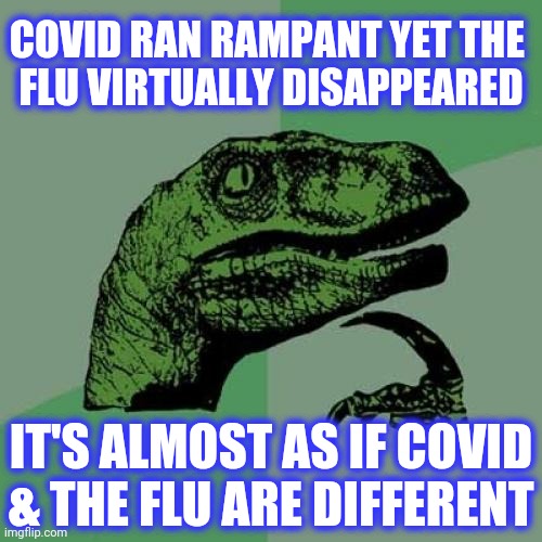 Philosoraptor Meme | COVID RAN RAMPANT YET THE 
FLU VIRTUALLY DISAPPEARED IT'S ALMOST AS IF COVID
& THE FLU ARE DIFFERENT | image tagged in memes,philosoraptor | made w/ Imgflip meme maker