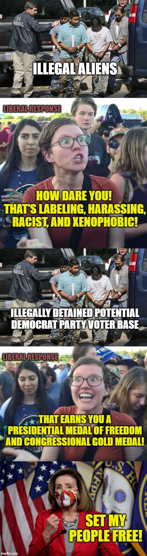 Illegals and Liberals and Democrats ... OH MY! | ILLEGAL ALIENS; LIBERAL RESPONSE; HOW DARE YOU! 
THAT'S LABELING, HARASSING, RACIST, AND XENOPHOBIC! ILLEGALLY DETAINED POTENTIAL
DEMOCRAT PARTY VOTER BASE; LIBERAL RESPONSE; THAT EARNS YOU A PRESIDENTIAL MEDAL OF FREEDOM AND CONGRESSIONAL GOLD MEDAL! SET MY PEOPLE FREE! | image tagged in illegal aliens,liberals,democrats,nancy pelosi,joe biden,political correctness | made w/ Imgflip meme maker