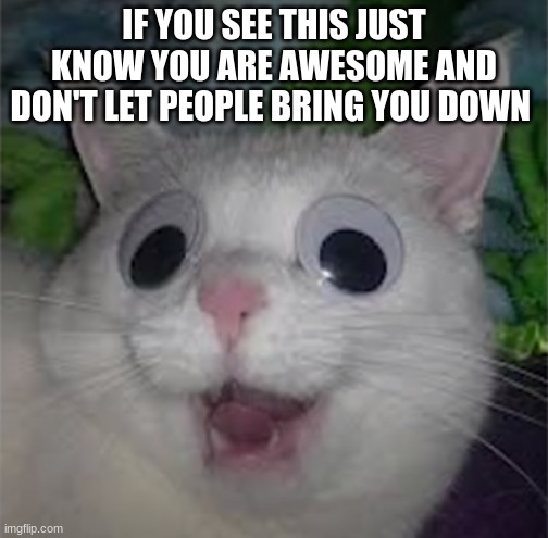 IF YOU SEE THIS JUST KNOW YOU ARE AWESOME AND DON'T LET PEOPLE BRING YOU DOWN | image tagged in good,good vibes,funny cats,cat,lol so funny | made w/ Imgflip meme maker
