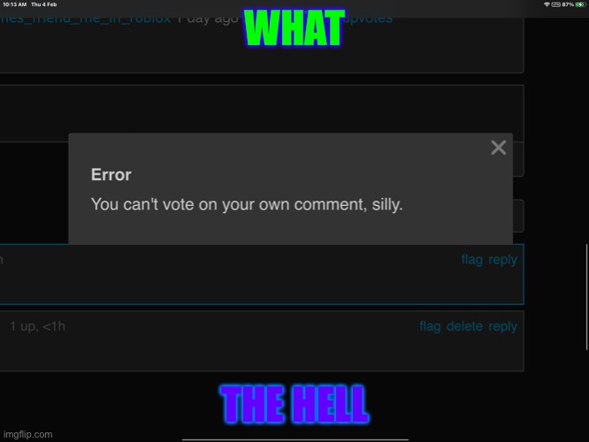 Imgflip error | WHAT; THE HELL | image tagged in imgflip error | made w/ Imgflip meme maker