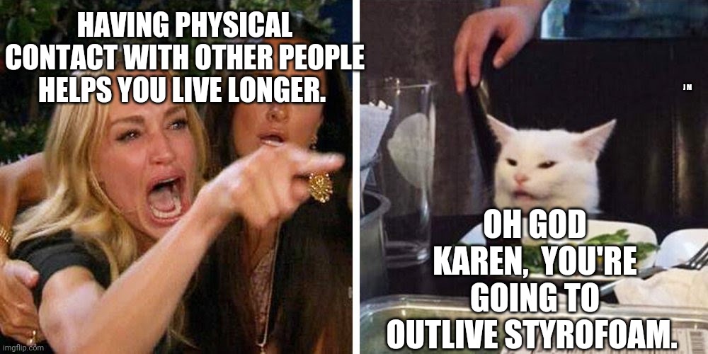 Smudge the cat | HAVING PHYSICAL CONTACT WITH OTHER PEOPLE HELPS YOU LIVE LONGER. J M; OH GOD KAREN,  YOU'RE GOING TO OUTLIVE STYROFOAM. | image tagged in smudge the cat | made w/ Imgflip meme maker