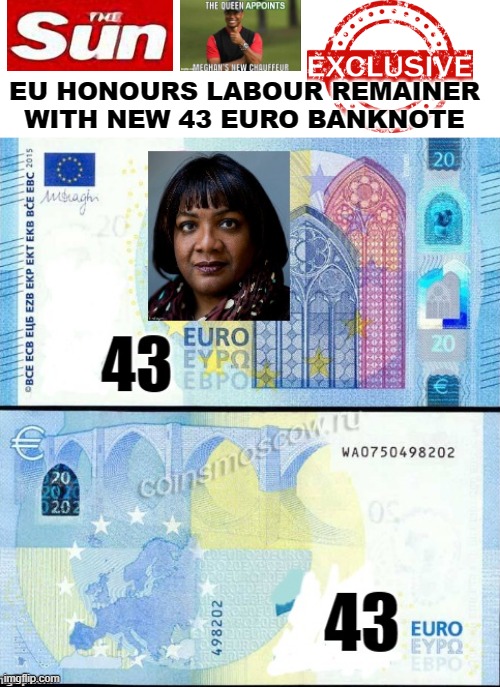New 43 Euro Banknote | EU HONOURS LABOUR REMAINER
WITH NEW 43 EURO BANKNOTE | image tagged in diane abbott | made w/ Imgflip meme maker