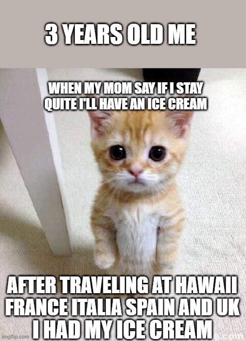 (no title so i can have my ice cream) | 3 YEARS OLD ME; WHEN MY MOM SAY IF I STAY QUITE I'LL HAVE AN ICE CREAM; AFTER TRAVELING AT HAWAII FRANCE ITALIA SPAIN AND UK; I HAD MY ICE CREAM | image tagged in memes,cute cat | made w/ Imgflip meme maker