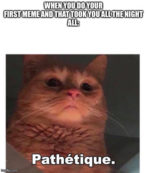 Pathétique | WHEN YOU DO YOUR FIRST MEME AND THAT TOOK YOU ALL THE NIGHT
ALL: | image tagged in cats | made w/ Imgflip meme maker