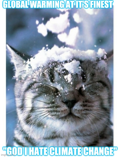 Winter Climate Cat | GLOBAL WARMING AT IT'S FINEST; "GOD I HATE CLIMATE CHANGE" | image tagged in cats,rule | made w/ Imgflip meme maker