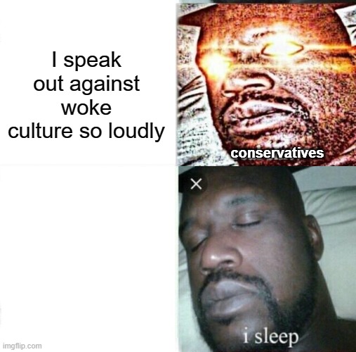 Just close your eyes and all the World's ills go away | I speak out against woke culture so loudly; conservatives | image tagged in memes,woke,sleeping shaq,conservatives,culture | made w/ Imgflip meme maker