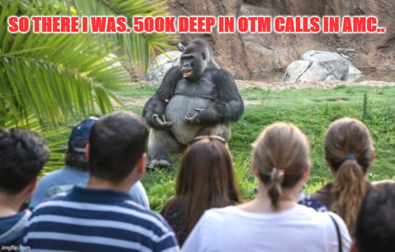 Teaching noobs | SO THERE I WAS. 500K DEEP IN OTM CALLS IN AMC.. | image tagged in gorilla,amc | made w/ Imgflip meme maker