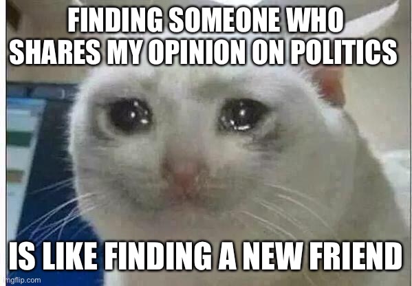 crying cat | FINDING SOMEONE WHO SHARES MY OPINION ON POLITICS IS LIKE FINDING A NEW FRIEND | image tagged in crying cat | made w/ Imgflip meme maker