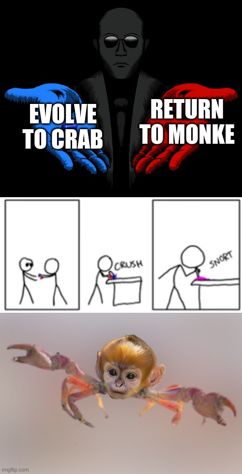 Finally, Monkrab. | EVOLVE TO CRAB; RETURN TO MONKE | image tagged in red or blue pill you live and learn,monkey,crab | made w/ Imgflip meme maker