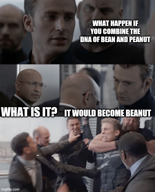 Beanut | WHAT HAPPEN IF YOU COMBINE THE DNA OF BEAN AND PEANUT; WHAT IS IT? IT WOULD BECOME BEANUT | image tagged in captain america elevator | made w/ Imgflip meme maker