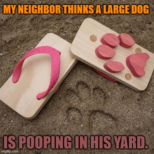 MY NEIGHBOR THINKS A LARGE DOG; IS POOPING IN HIS YARD. | made w/ Imgflip meme maker