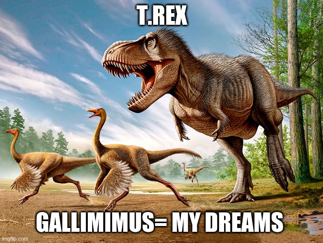 DINOOOOOOOOOOOOOOOOOOOOOOOS | T.REX; GALLIMIMUS= MY DREAMS | image tagged in dinosaurs | made w/ Imgflip meme maker