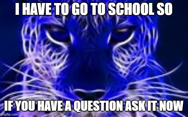 :) | I HAVE TO GO TO SCHOOL SO; IF YOU HAVE A QUESTION ASK IT NOW | image tagged in ask me | made w/ Imgflip meme maker