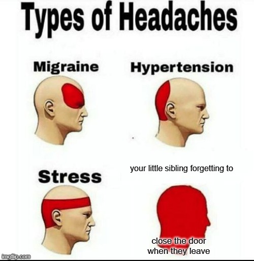 Types of Headaches meme | your little sibling forgetting to; close the door when they leave | image tagged in types of headaches meme | made w/ Imgflip meme maker