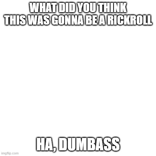 RICKROLL | WHAT DID YOU THINK THIS WAS GONNA BE A RICKROLL; HA, DUMBASS | image tagged in memes,blank transparent square | made w/ Imgflip meme maker