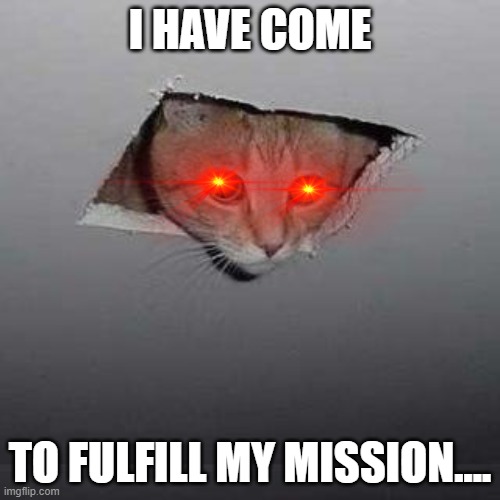 Ceiling Cat | I HAVE COME; TO FULFILL MY MISSION.... | image tagged in memes,ceiling cat | made w/ Imgflip meme maker