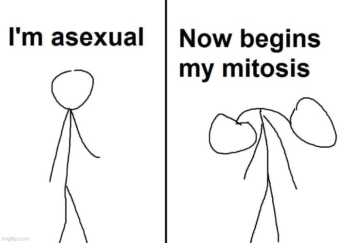 I thought this was sorta funny. Found it online. | made w/ Imgflip meme maker