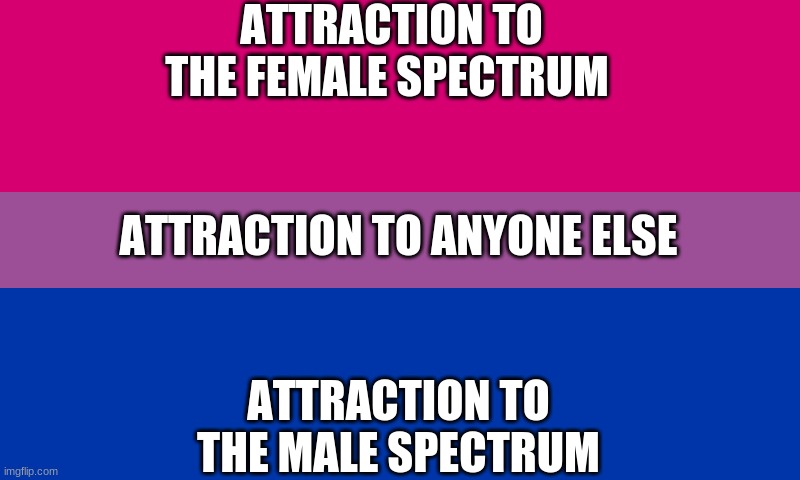 Bi flag | ATTRACTION TO THE FEMALE SPECTRUM ATTRACTION TO THE MALE SPECTRUM ATTRACTION TO ANYONE ELSE | image tagged in bi flag | made w/ Imgflip meme maker