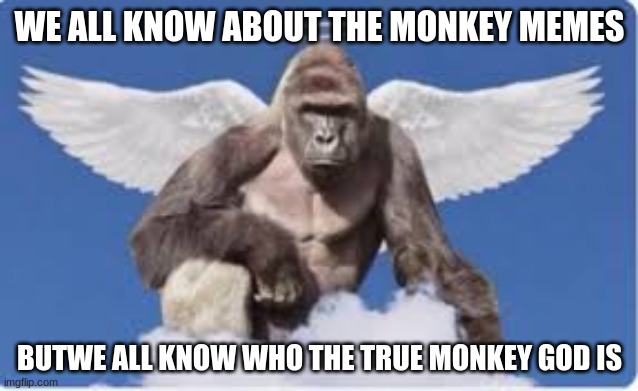 Harambe Is True Monkey | WE ALL KNOW ABOUT THE MONKEY MEMES; BUTWE ALL KNOW WHO THE TRUE MONKEY GOD IS | image tagged in harambe,monkey,memes | made w/ Imgflip meme maker