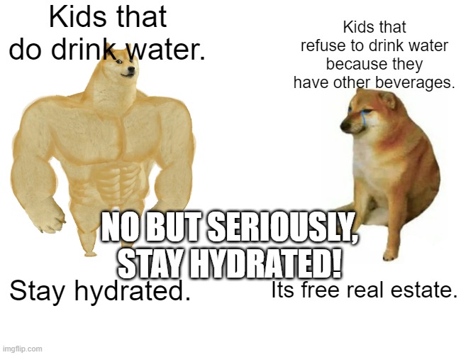 Buff Doge vs. Cheems | Kids that do drink water. Kids that refuse to drink water because they have other beverages. NO BUT SERIOUSLY, STAY HYDRATED! Stay hydrated. Its free real estate. | image tagged in memes,buff doge vs cheems | made w/ Imgflip meme maker
