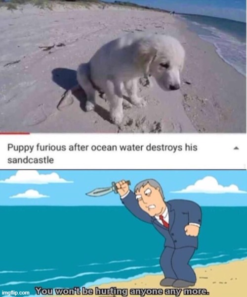 *stabs the ocean* | image tagged in memes,funny | made w/ Imgflip meme maker