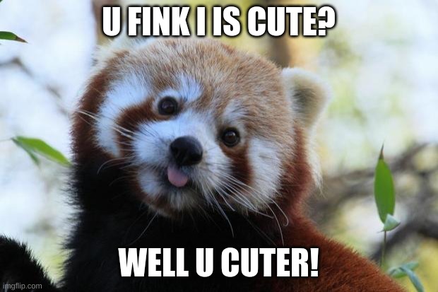 red panda | U FINK I IS CUTE? WELL U CUTER! | image tagged in red panda | made w/ Imgflip meme maker