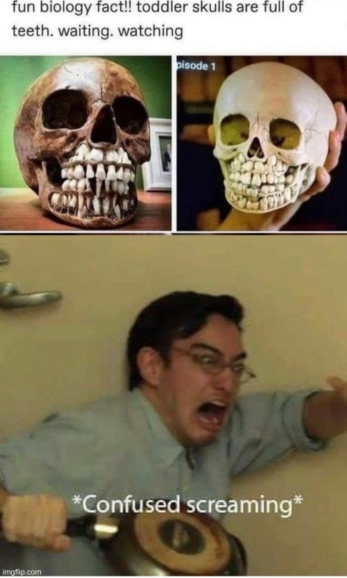 HOW DID THEY GET THE SKULLS!!!!!!! | image tagged in confused screaming | made w/ Imgflip meme maker