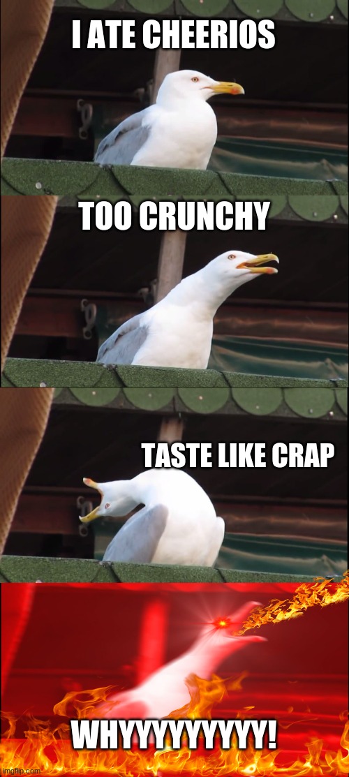 Inhaling Seagull | I ATE CHEERIOS; TOO CRUNCHY; TASTE LIKE CRAP; WHYYYYYYYYY! | image tagged in memes,inhaling seagull | made w/ Imgflip meme maker