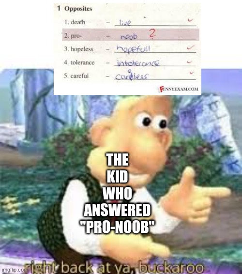 Random Crap | THE KID WHO ANSWERED "PRO-NOOB" | image tagged in right back at ya buckaroo | made w/ Imgflip meme maker