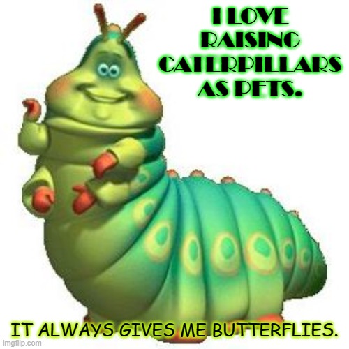Daily Bad Dad Joke 03/16/2021 | I LOVE RAISING CATERPILLARS AS PETS. IT ALWAYS GIVES ME BUTTERFLIES. | image tagged in caterpillar | made w/ Imgflip meme maker