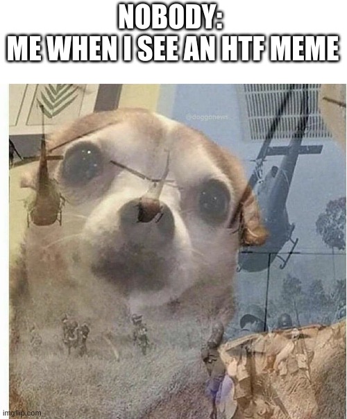 lets pray for those poor three year olds who watched it | NOBODY: 
ME WHEN I SEE AN HTF MEME | image tagged in ptsd chihuahua | made w/ Imgflip meme maker