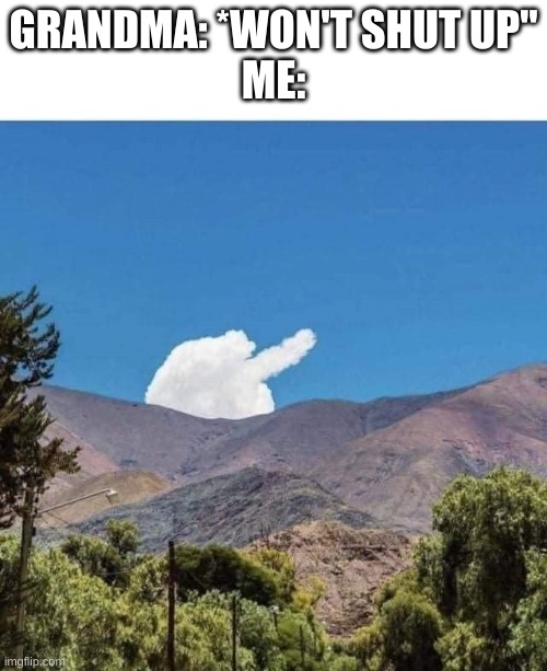 cloud flips bird birdie middle finger | GRANDMA: *WON'T SHUT UP"
ME: | image tagged in cloud flips bird birdie middle finger | made w/ Imgflip meme maker