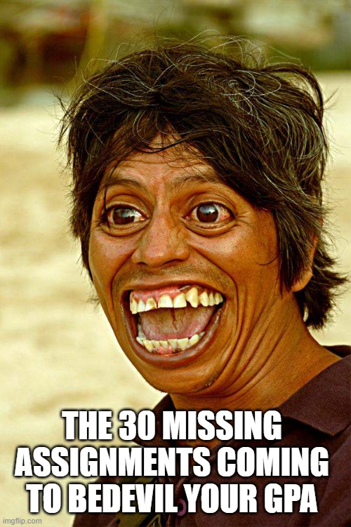 ugly face  | THE 30 MISSING ASSIGNMENTS COMING TO BEDEVIL YOUR GPA | image tagged in ugly face | made w/ Imgflip meme maker