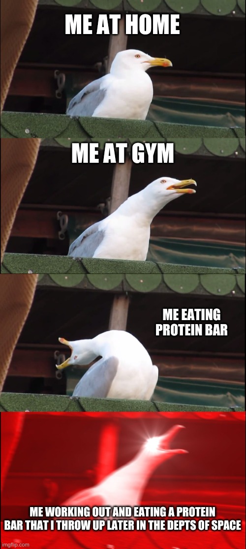 Protein your bar | ME AT HOME; ME AT GYM; ME EATING PROTEIN BAR; ME WORKING OUT AND EATING A PROTEIN BAR THAT I THROW UP LATER IN THE DEPTS OF SPACE | image tagged in memes,inhaling seagull | made w/ Imgflip meme maker