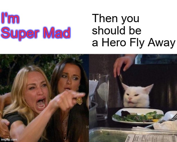 Woman Yelling At Cat Meme | I'm Super Mad; Then you should be a Hero Fly Away | image tagged in memes,woman yelling at cat,funny | made w/ Imgflip meme maker