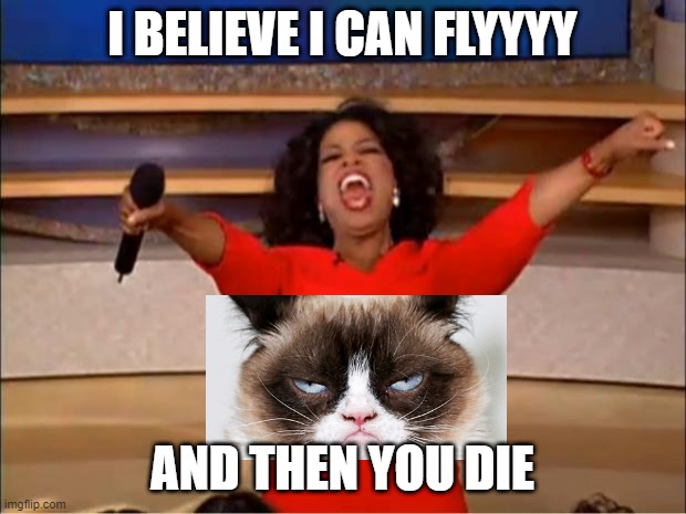 Grumpy cat for the win | I BELIEVE I CAN FLYYYY; AND THEN YOU DIE | image tagged in memes,oprah you get a | made w/ Imgflip meme maker