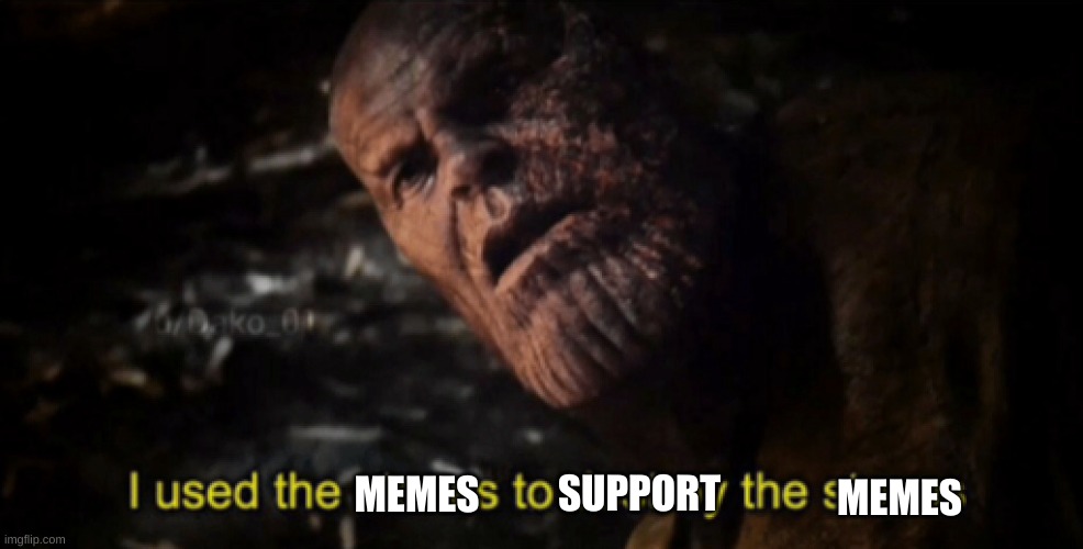 I used the stones to destroy the stones | MEMES SUPPORT MEMES | image tagged in i used the stones to destroy the stones | made w/ Imgflip meme maker