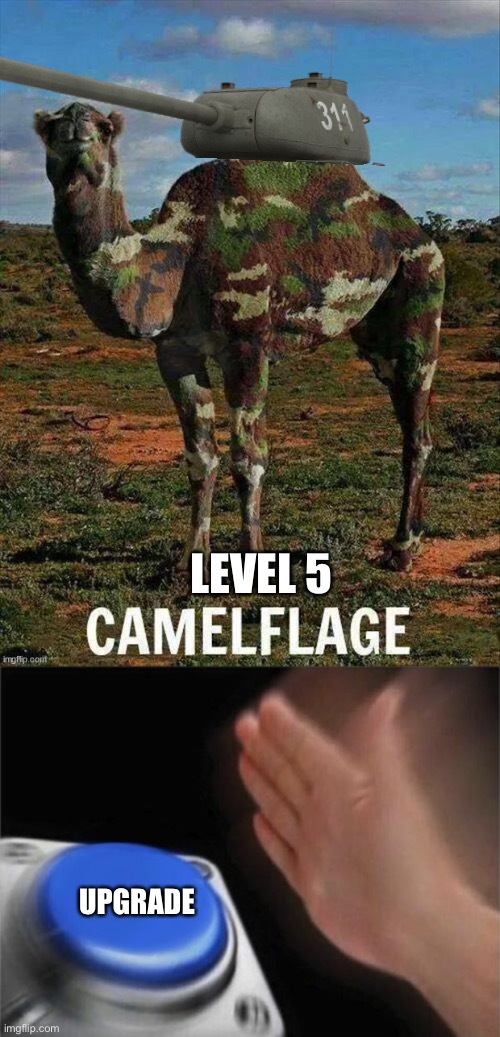 LEVEL 5 UPGRADE | image tagged in memes,blank nut button | made w/ Imgflip meme maker